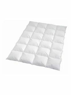 Häussling Bettwaren Winter-Daunendecke "Königstraum" In Weiß