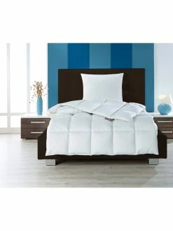 Häussling Bettwaren Winter-Daunendecke "Moschus Royal" In Silbergrau