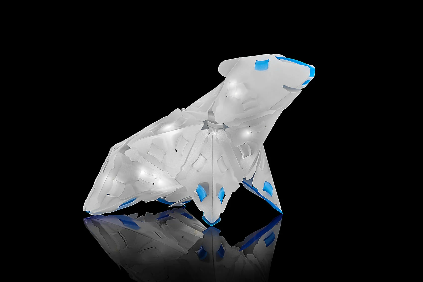 Kosmos Creatto Winter 5 Kosmos Creatto Winter – Bild 5