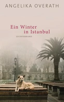 Luchterhand Literaturverlag Ein Winter In Istanbul | Roman