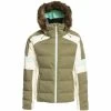 Roxy Skijacke WINTER HAVEN In Deep Lichen Green