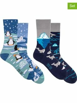 Spox Sox 2er-Set: Socken "Winter + Arctic Whales" In Bunt