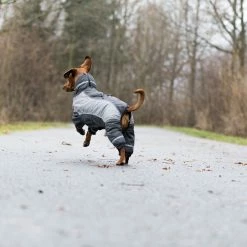 Trixie Hunde Winter-Overall Helsinki Wintermantel M: Rücken 45 Cm, Bauch 66 Cm, Grau -JYOKO-Shop trixie hunde winter overall helsinki wintermantel m rucken 45 cm bauch 66 cm grau 7