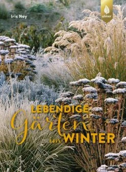 Ulmer Lebendige Gärten Im Winter | Winterliche Höhepunkte Gestalten