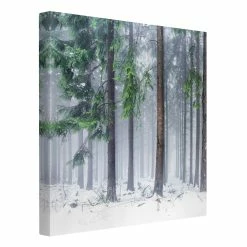 WallArt Leinwandbild - Nadelbäume Im Winter In Grün -JYOKO-Shop wallart leinwandbild nadelbaume im winter in grun 28