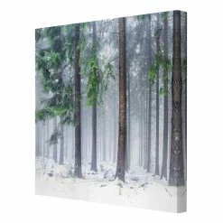WallArt Leinwandbild - Nadelbäume Im Winter In Grün -JYOKO-Shop wallart leinwandbild nadelbaume im winter in grun 29