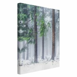 WallArt Leinwandbild - Nadelbäume Im Winter In Grün -JYOKO-Shop wallart leinwandbild nadelbaume im winter in grun 4