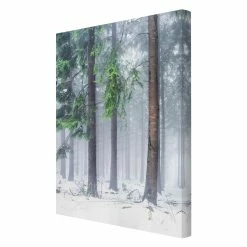 WallArt Leinwandbild - Nadelbäume Im Winter In Grün -JYOKO-Shop wallart leinwandbild nadelbaume im winter in grun 5
