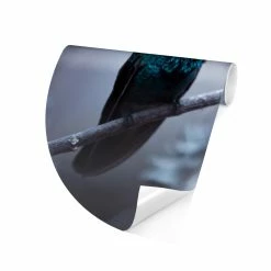 WallArt Runde Tapete - Kolibri Im Winter In Violett -JYOKO-Shop wallart runde tapete kolibri im winter in violett 5